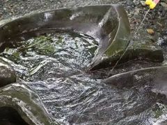 -成都市活水公园