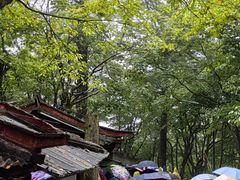-峨眉山风景名胜区