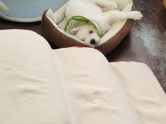 -联合动物医院(光谷诊疗中心)