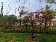 -无锡市西漳中学
