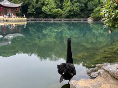 -南京珍珠泉风景区