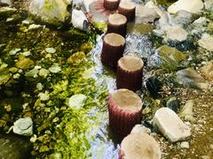 -黑河国家森林公园