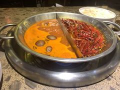 鸳鸯锅-小龙坎火锅(全球旗舰店)
