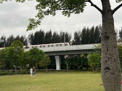 -宝安西湾红树林湿地公园