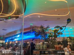 -桂满陇·蟹黄小笼汤包(清河万象店)