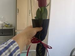 -大连市皮肤病医院