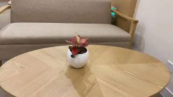 -杭州医学院附属妇儿医院