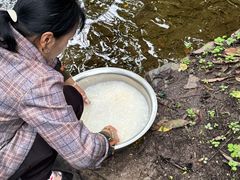 -牛背梁国家森林公园