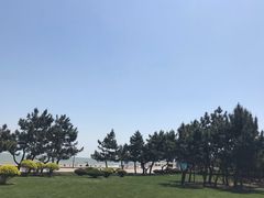 -日照灯塔风景区