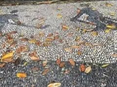 -江湾体育中心游泳馆