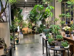 -弗劳尔花艺坊(龙涛店)