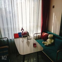 -归真美学颜究中心