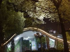 -文华公园(禅城区)