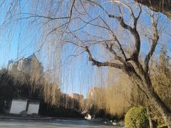 -团结湖公园