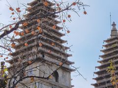 -北京石刻艺术博物馆(五塔寺)