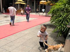 -华林禅寺
