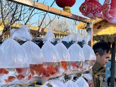 -辛庄国际文化艺术区