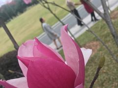 -东莞植物园