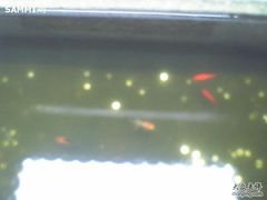 -松声马术俱乐部