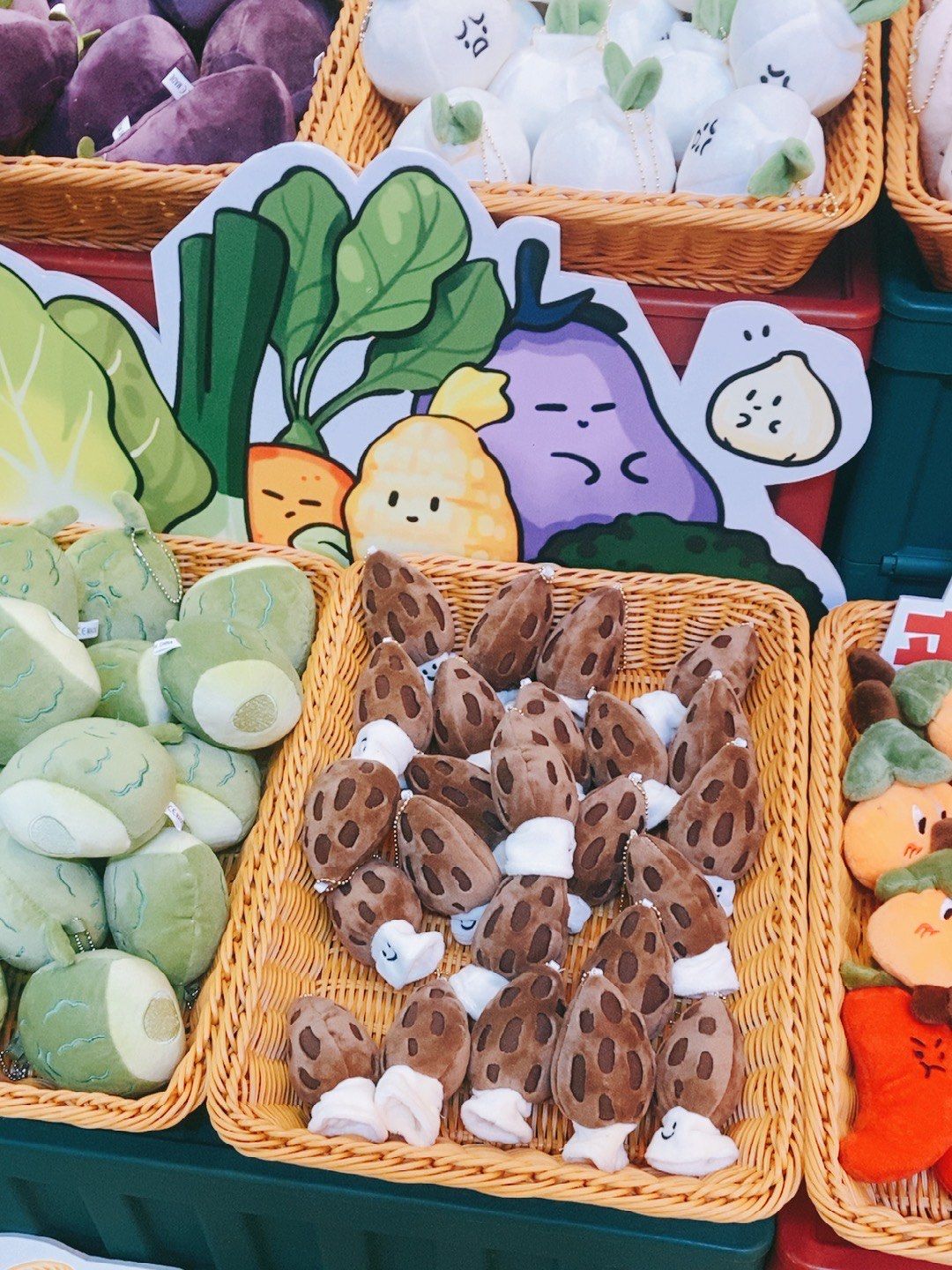 菜宝宝挂满架