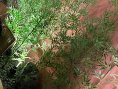 -初蓉丨遇见新川菜(亲贤街荣耀店)