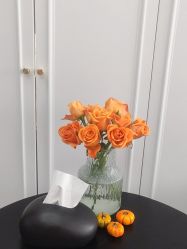 -小梨专业脱毛连锁机构
