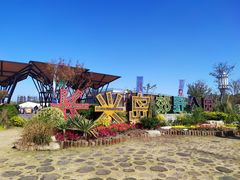 -上海长兴岛郊野公园