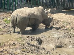 -哈尔滨北方森林动物园