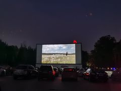 -枫花园汽车电影院(朝阳公园店)