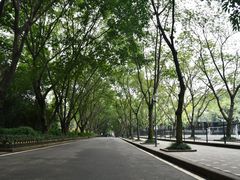 -阿坤传统手工小吃(沙坪坝店)