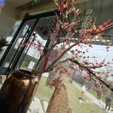 吃掉彩虹蛋糕拥有七彩的梦