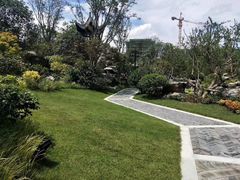 -保利·海上五月花B区