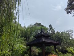 -五凤溪古镇