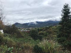 -塔川景区