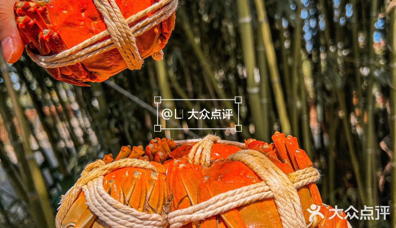 坠好吃的阳澄湖大闸蟹🦀️蟹黄爆多‼️