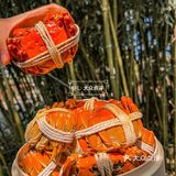 坠好吃的阳澄湖大闸蟹🦀️蟹黄爆多‼️