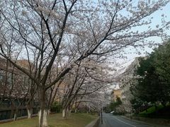 -浙江大学(玉泉校区)