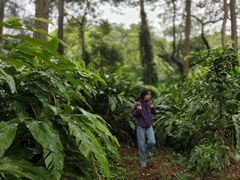 -福清灵石山国家森林公园