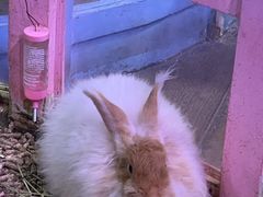-正佳雨林生态植物园