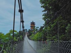 -塔云山
