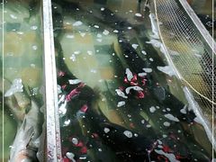 -缘福乡村铁锅炖民宿(八达岭店)