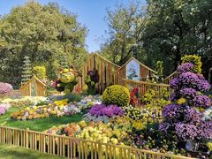 -上海共青森林公园