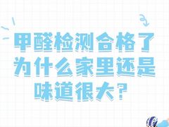 -浙大冰虫甲醛检测治理(闵行店)