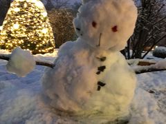 -北海道厅旧本厅舍(旧本庁舎)