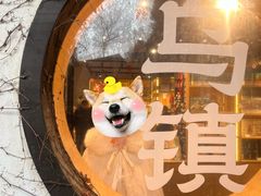 -乌镇景区