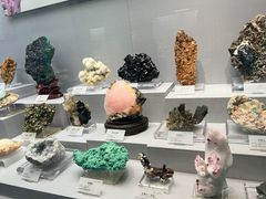 -湖南省地质博物馆