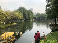 -晓港公园