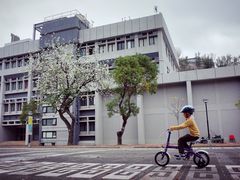 -大埔公路-马料水段香港中文大学(公交站)
