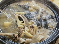 -一煲鸽