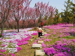 -南通洲际绿博园